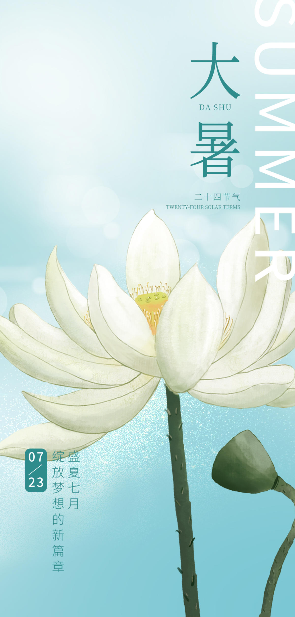 大暑海报