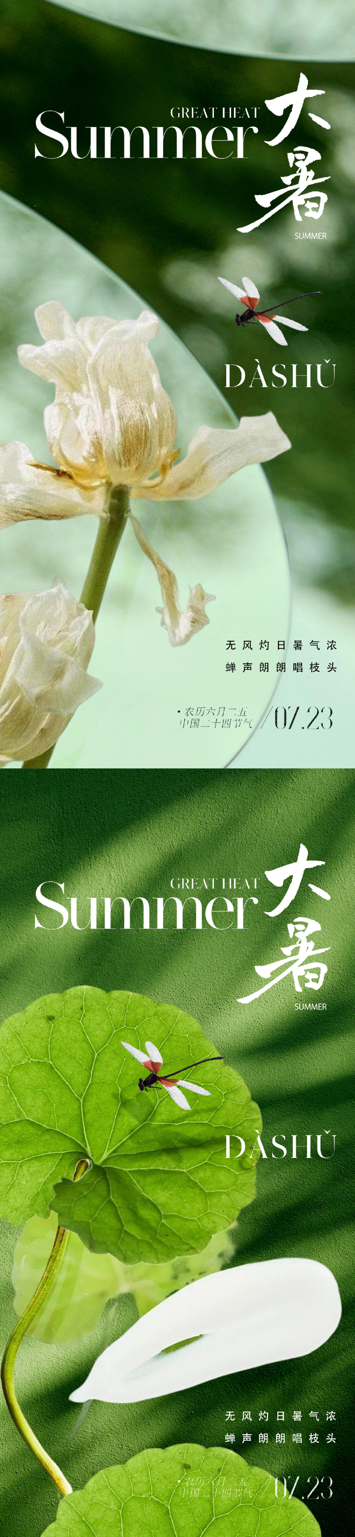 地产医美美业大暑节气海报