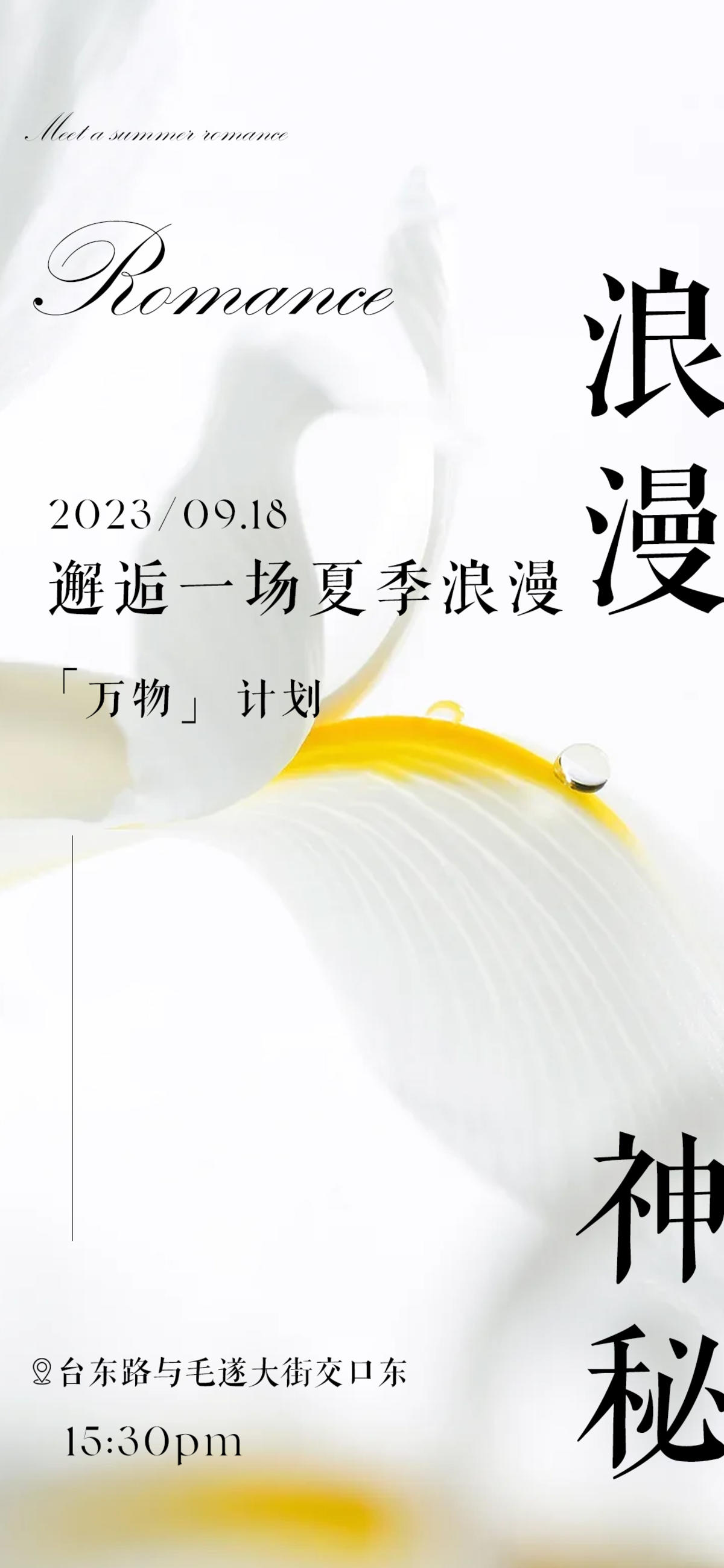 美业轻奢简约高级海报