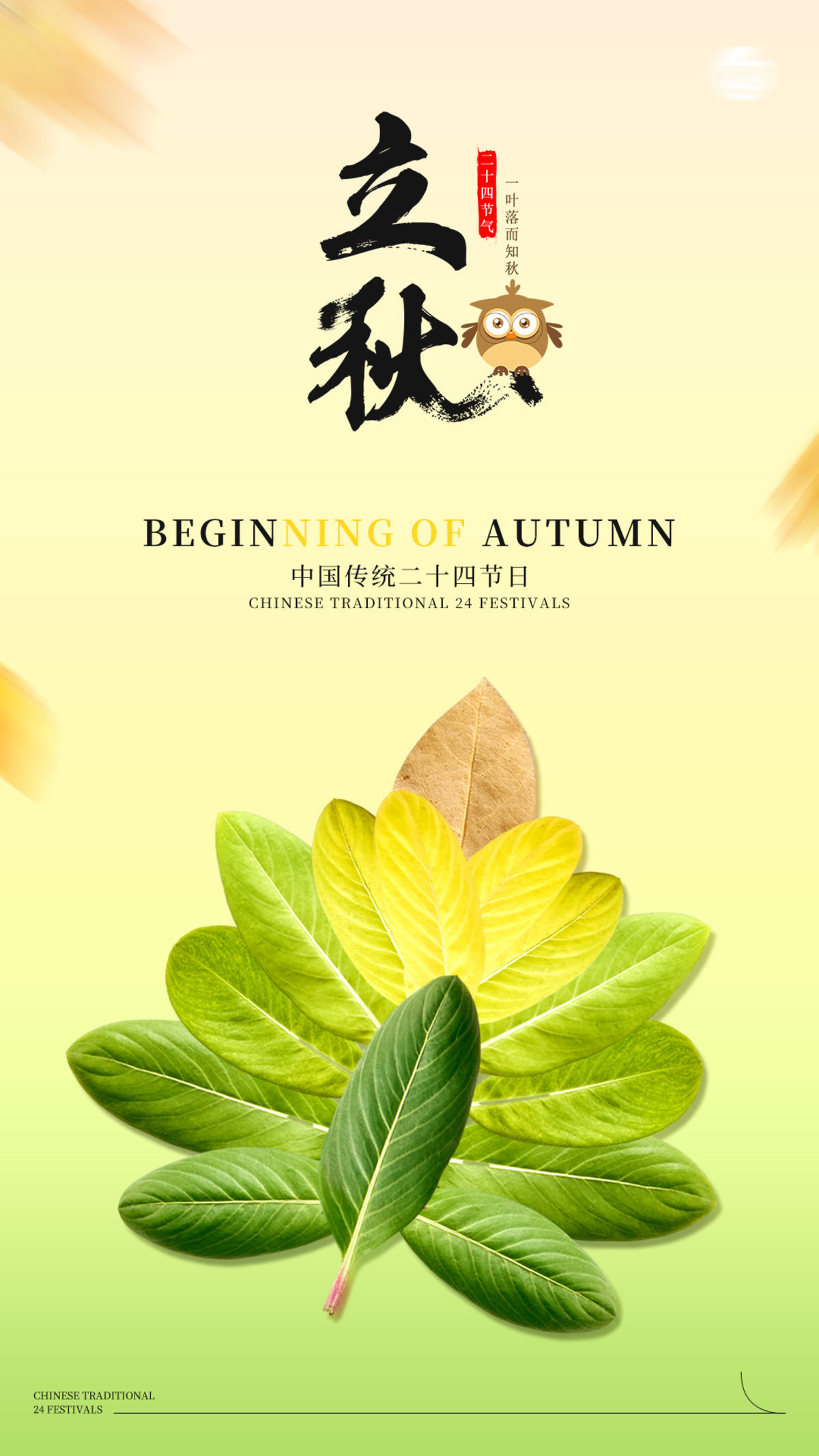 立秋银树叶海报