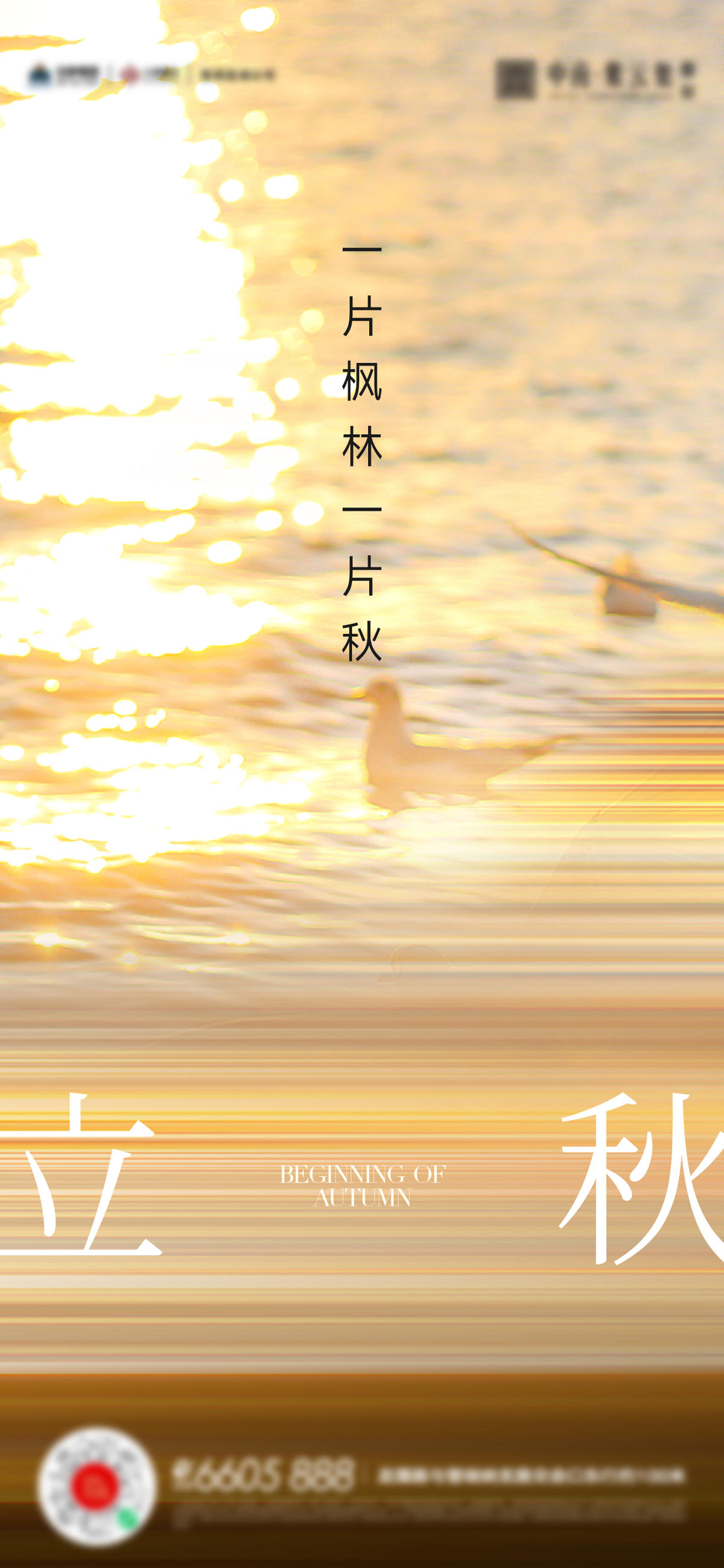 立秋秋分处暑海报