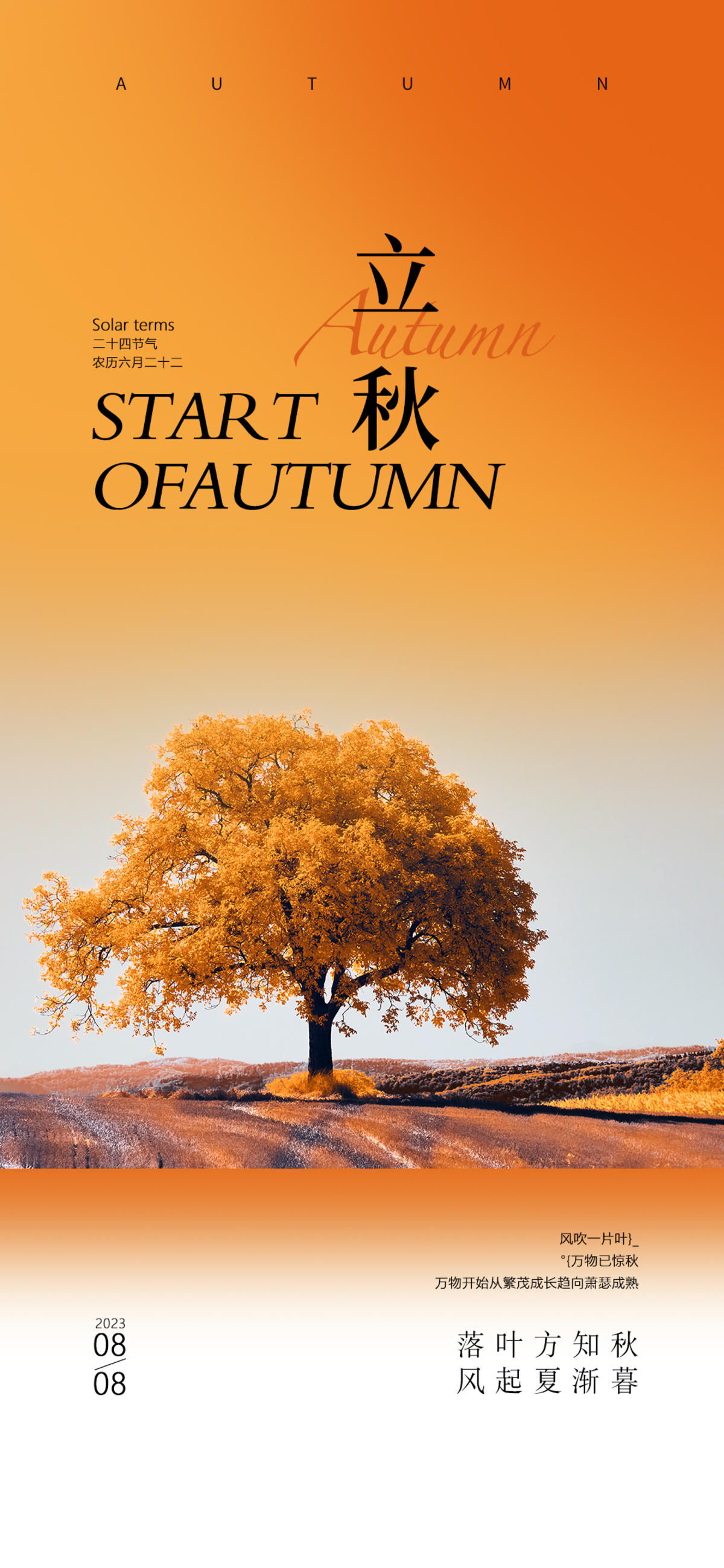 立秋节气海报