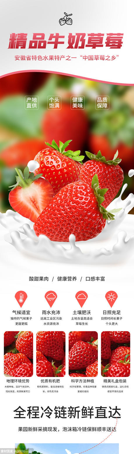 草莓 电商 水果 详情页 - 源文件