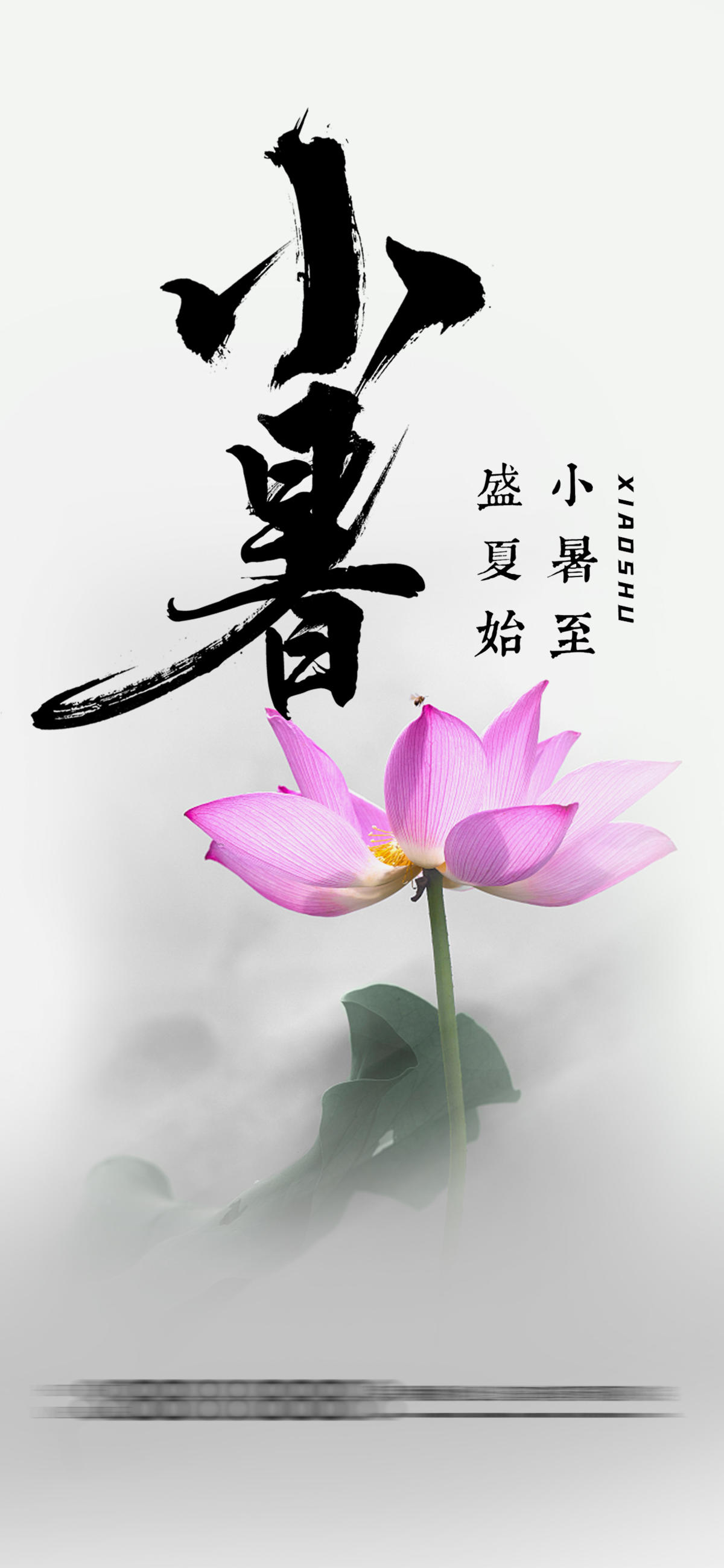 小暑 节气 海报