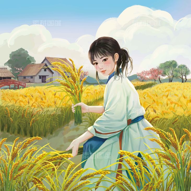  农妇  秋天的稻田  农村