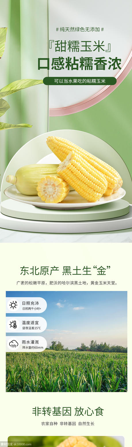 玉米 详情页 - 源文件