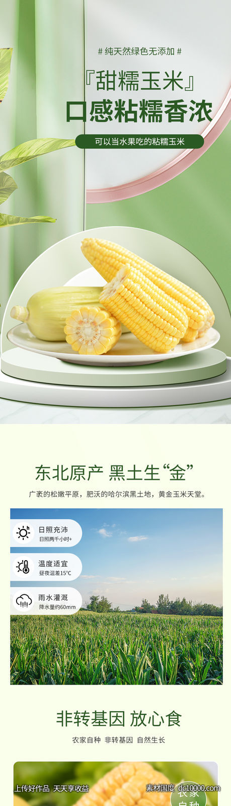 玉米 详情页-源文件-素材国度dc10000.com