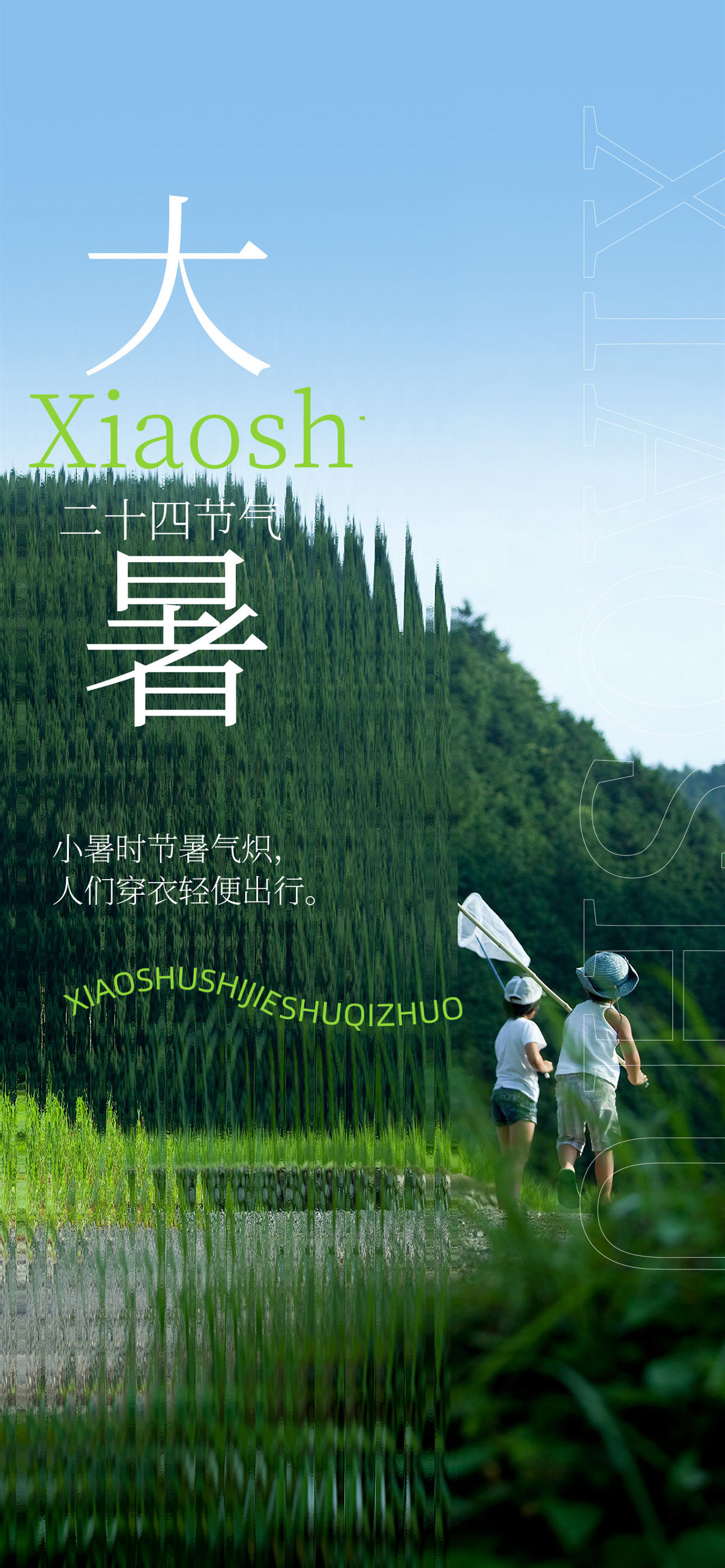 大暑 节气