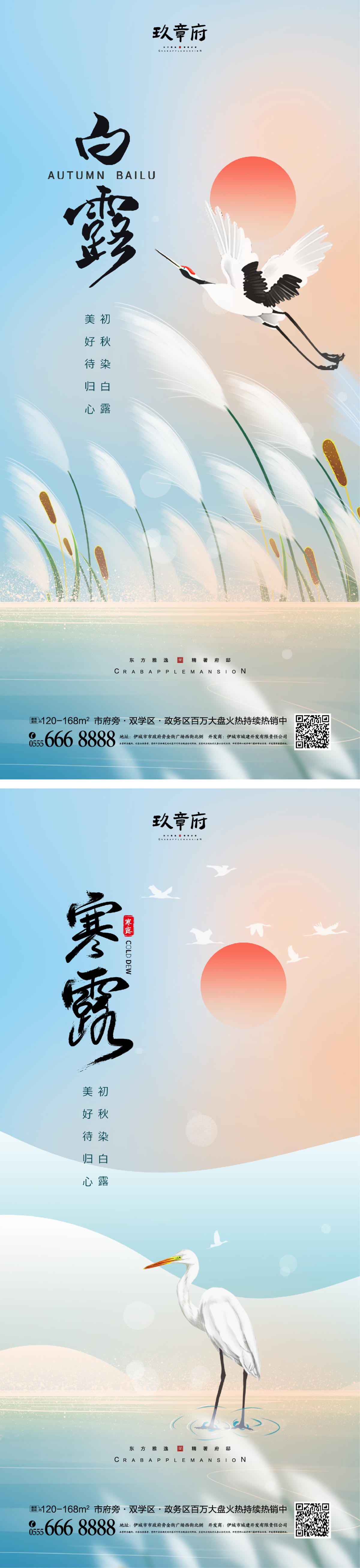 白露寒露海报