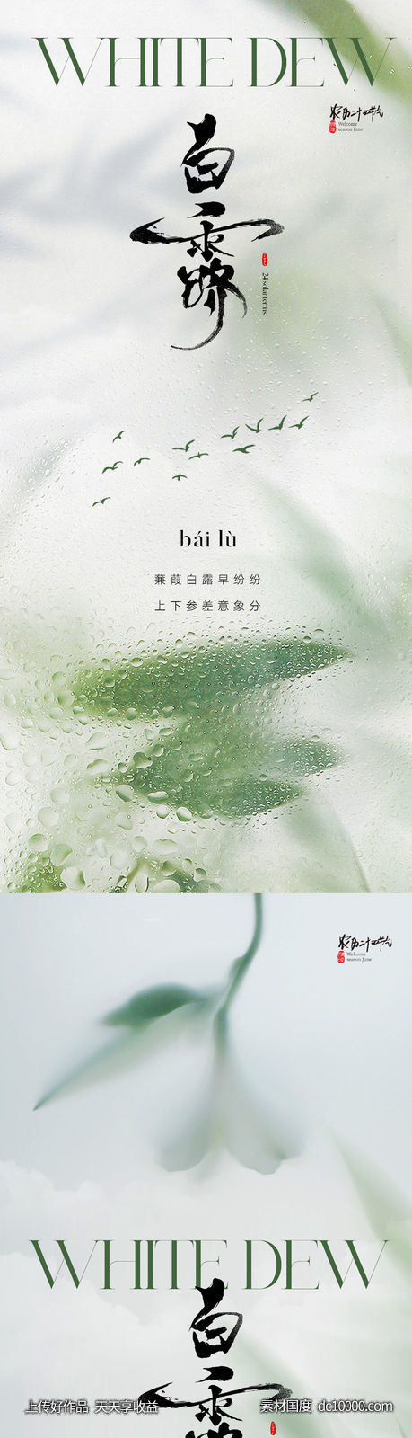 地产医美唯美白露节气海报-源文件-素材国度dc10000.com