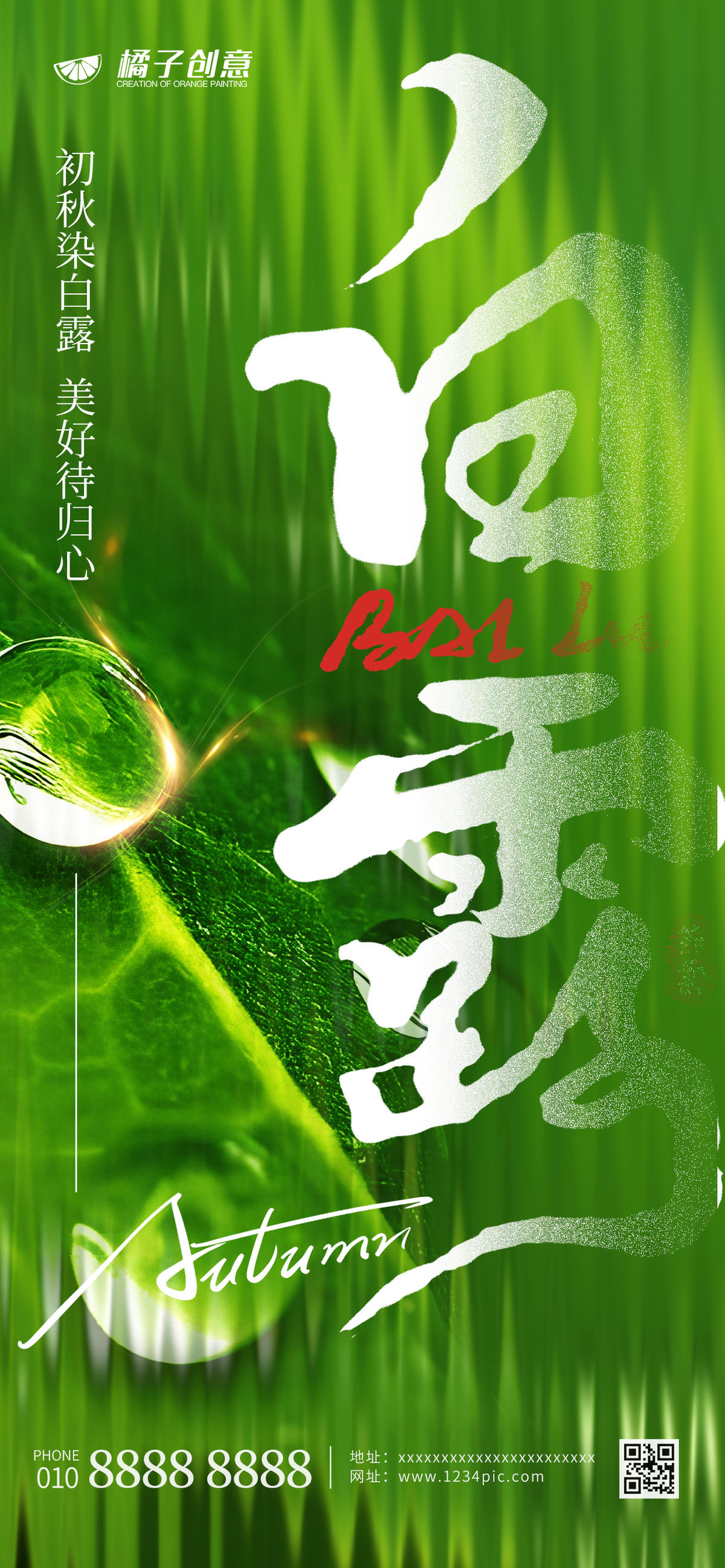 白露节气创意海报