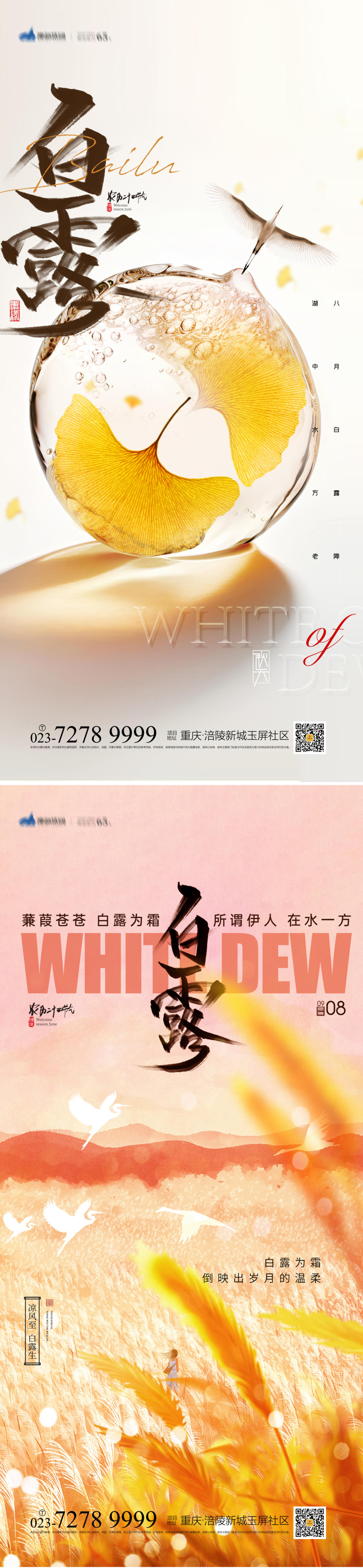 白露节气海报