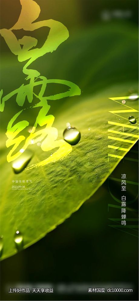 白露节气海报-源文件-素材国度dc10000.com