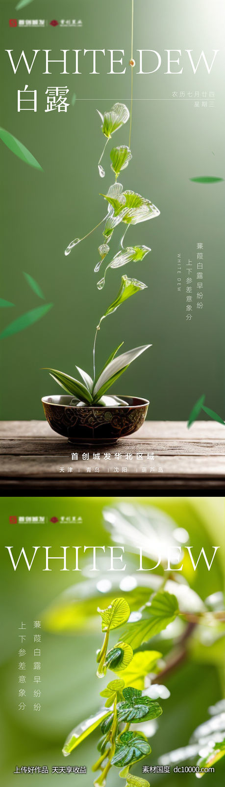 白露节气系列海报-源文件-素材国度dc10000.com