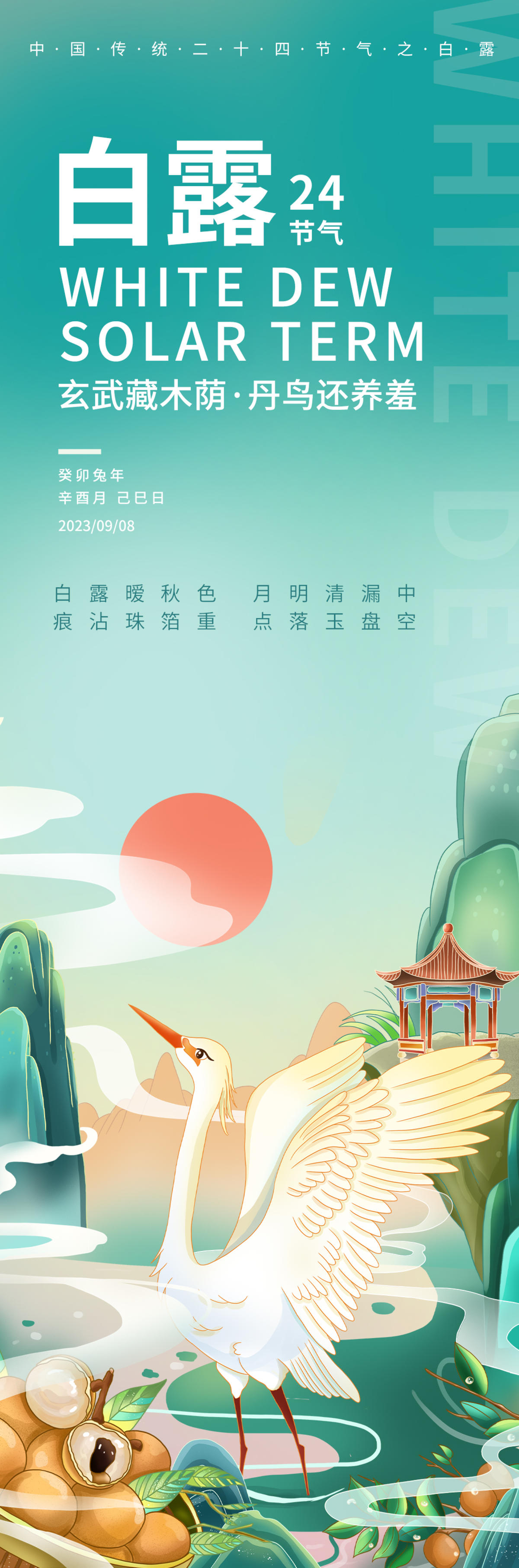 白露二十四节气海报