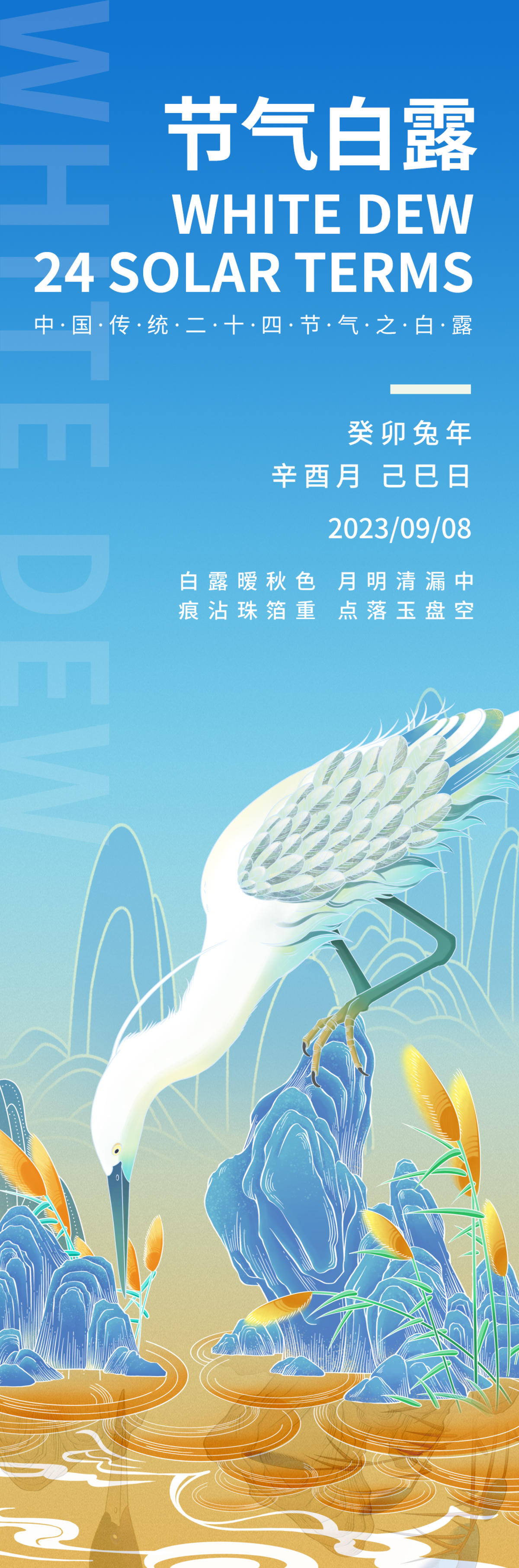 24节气白露海报