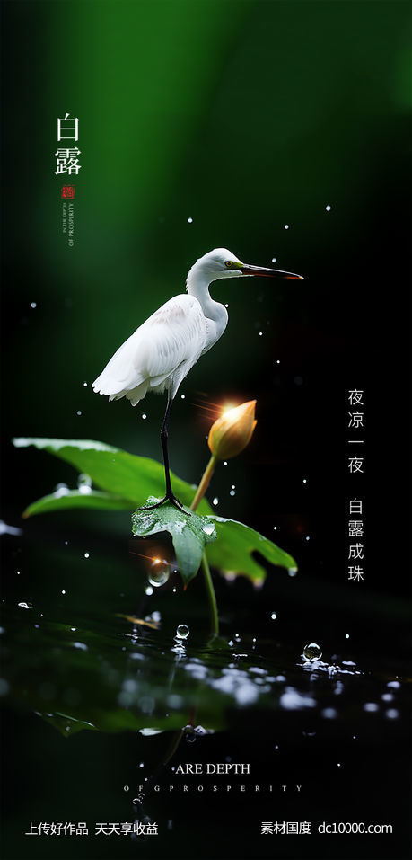 节气海报-源文件-素材国度dc10000.com
