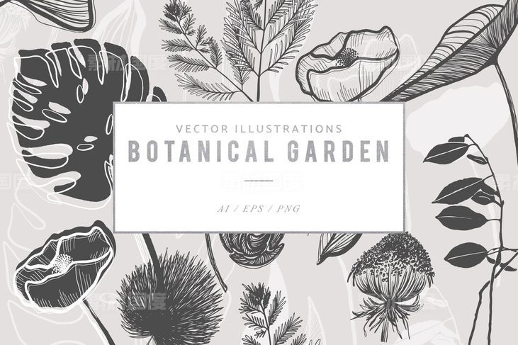 背景纹理  复古手绘植物园龟背竹金光菊花卉等矢量插图