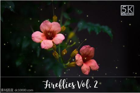 萤火虫特效素材 5K Fireflies Overlays - 源文件