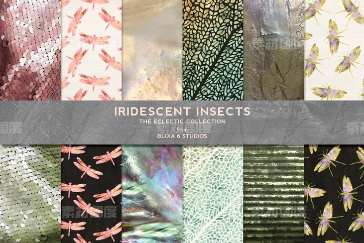 烫金昆虫背景纹理 Iridescent Insects  Backgrounds