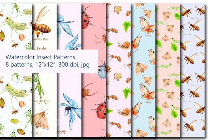 水彩昆虫图案背景纹理 Watercolor Insects Pattern