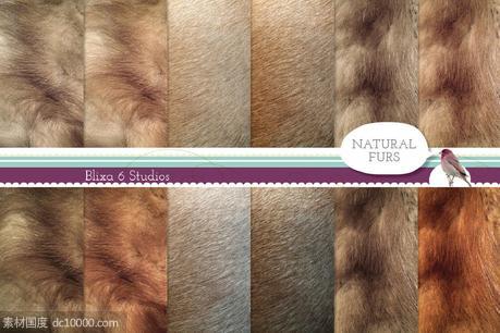 天然皮毛背景纹理 Natural Fur Digital Paper Collection - 源文件