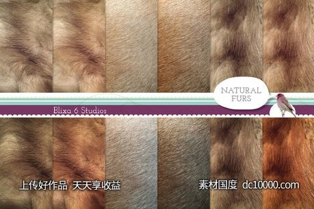 天然皮毛背景纹理 Natural Fur Digital Paper Collection-源文件-素材国度dc10000.com