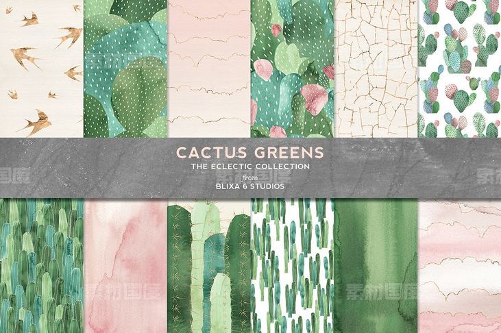 仙人掌绿色水彩图形 Cactus Greens Watercolor Graphics