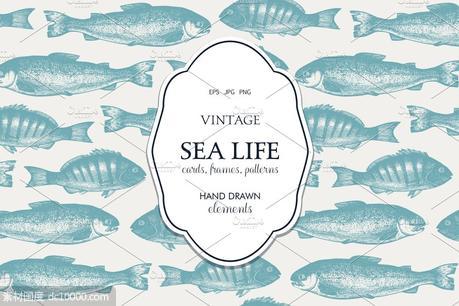 海洋生活矢量图形素材 Vector Sea Life Illustrations Set - 源文件
