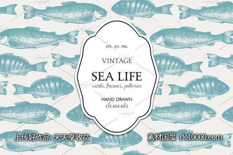 海洋生活矢量图形素材 Vector Sea Life Illustrations Set-源文件-素材国度dc10000.com