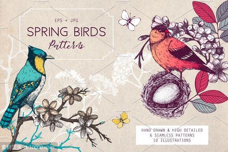 手工绘制的春季鸟类图案纹理 Hand Drawn Spring Birds Patterns - 源文件
