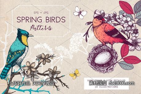 手工绘制的春季鸟类图案纹理 Hand Drawn Spring Birds Patterns-源文件-素材国度dc10000.com