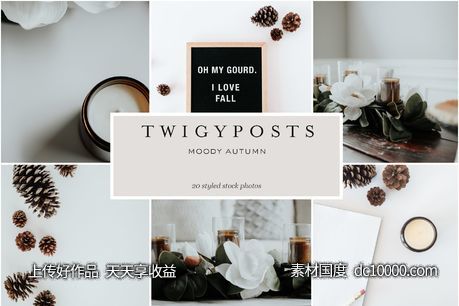 穆迪秋天风格照片 Moody Autumn  Styled Stock Photos - 源文件