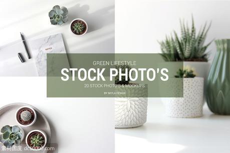绿植创意图片素材 Stock photo mockups Green lifestyle - 源文件
