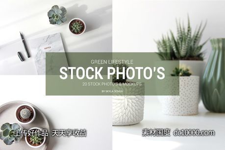 绿植创意图片素材 Stock photo mockups Green lifestyle-源文件-素材国度dc10000.com