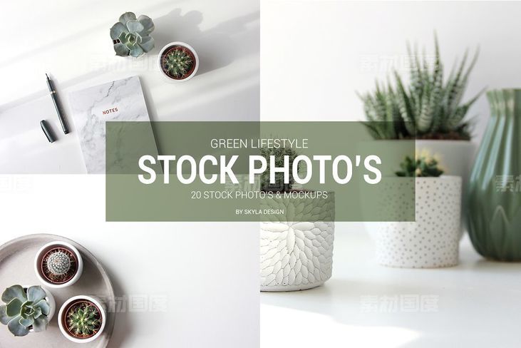 绿植创意图片素材 Stock photo mockups Green lifestyle