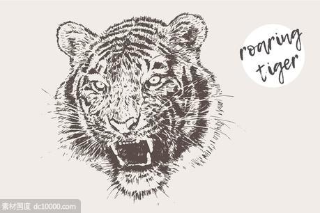老虎素描剪贴画 Illustration of a roaring tiger - 源文件