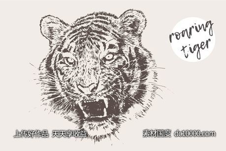 老虎素描剪贴画 Illustration of a roaring tiger - 源文件