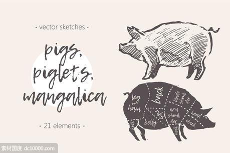 钢笔素描猪图形 Illustrations of pigspiglets  etc - 源文件