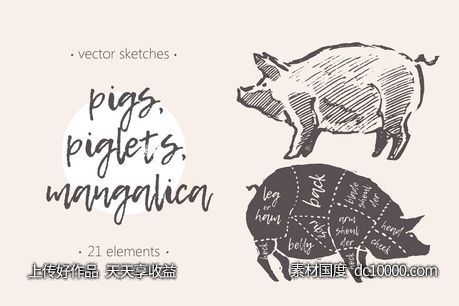 钢笔素描猪图形 Illustrations of pigspiglets  etc-源文件-素材国度dc10000.com