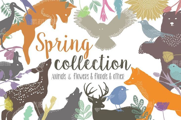 春天主题元素水彩设计素材合集 Spring Collection Pro