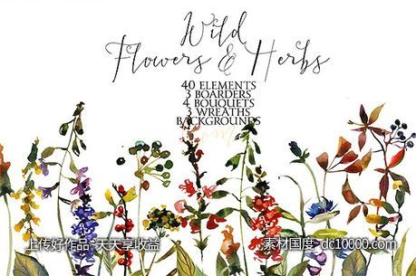 野花草本水彩套装 Wild Flowers  Herbs Watercolor Set - 源文件