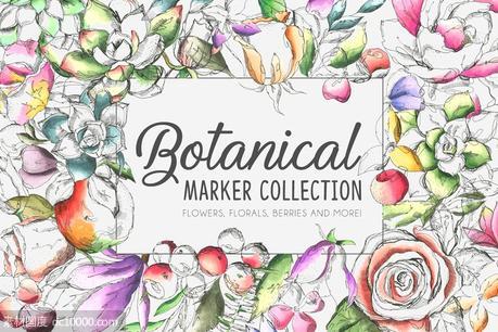 各种植物花卉水彩剪贴画合集 Botanical Marker Collection Pro - 源文件