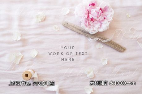 牡丹丝绸素材模型 Peonies and silk styled stock photo - 源文件