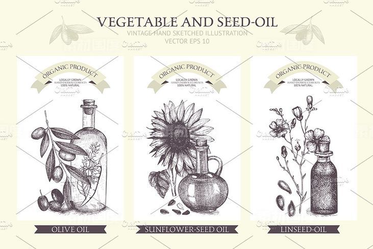 植物油相关设计素材包 Seed Oil Design Collection