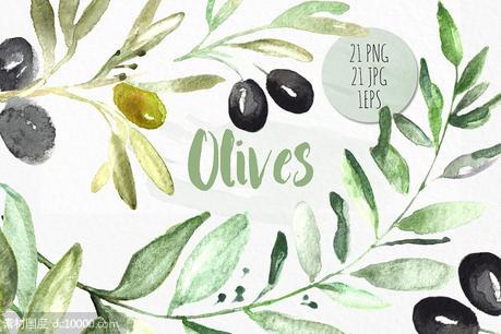 橄榄枝水彩剪贴画 Olives. Watercolor illustrations - 源文件