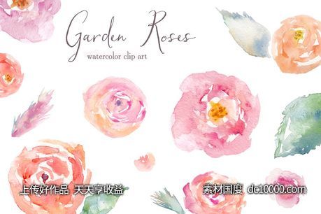 花园玫瑰水彩剪贴画 Garden Roses Watercolor Clip Art - 源文件