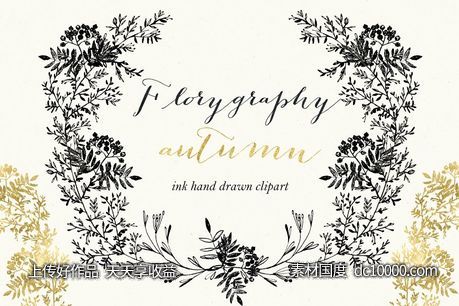 秋天风格墨水画花卉剪贴画 Florygraphy Autumn  Ink clipart-源文件-素材国度dc10000.com