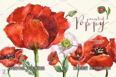 深红色罂粟花水彩剪贴画 Aquarelle watercolor red wild poppy-源文件-素材国度dc10000.com