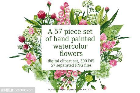 57种手绘花卉和叶子插画 Watercolor flowers painting - 源文件